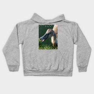 Swan Baby Eating Kids Hoodie